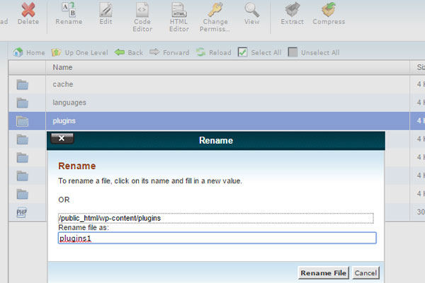 erro-cookies-blocked-output-rename-plugins